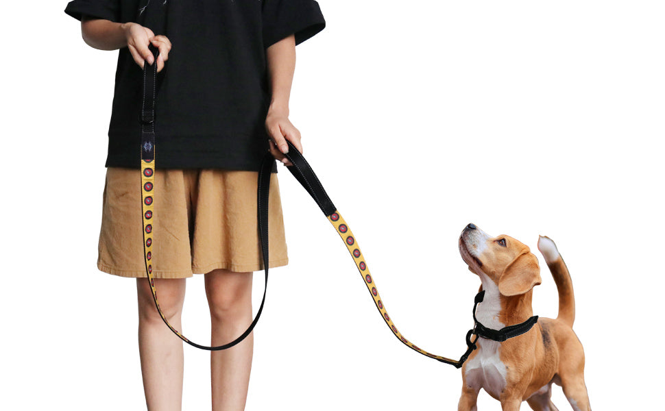 Marine Corps Heavy Duty Military Grade USA Flag Dog Leash for Large & Medium Breeds - Patriotic Pet Lead