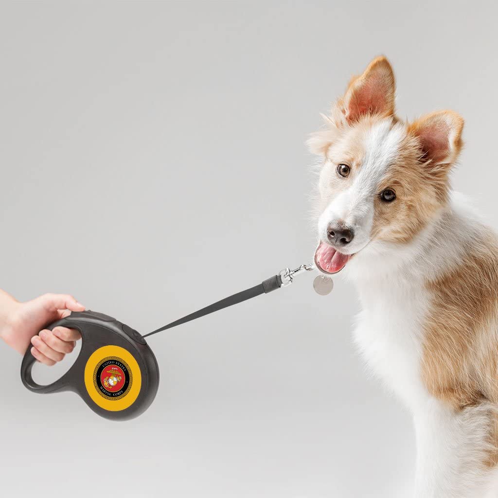 Pet Accessories